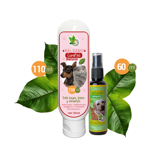 Kit Dúo Reparador
