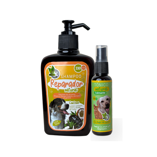 Kit Duo Confort