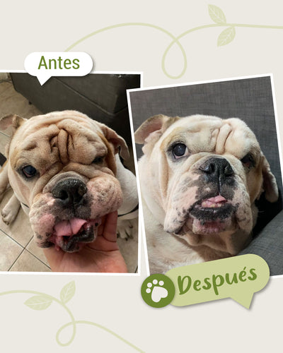testimonio ojos 1
