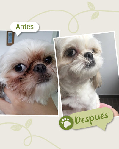 testimonio ojos 2