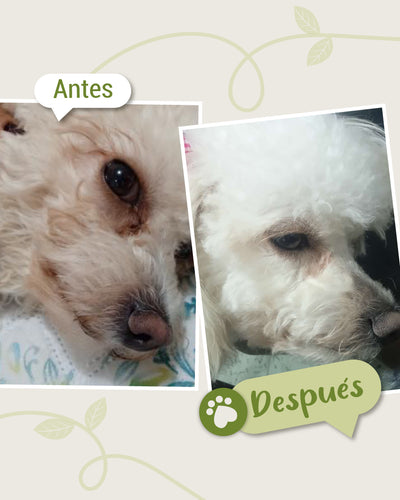 testimonio ojos 4